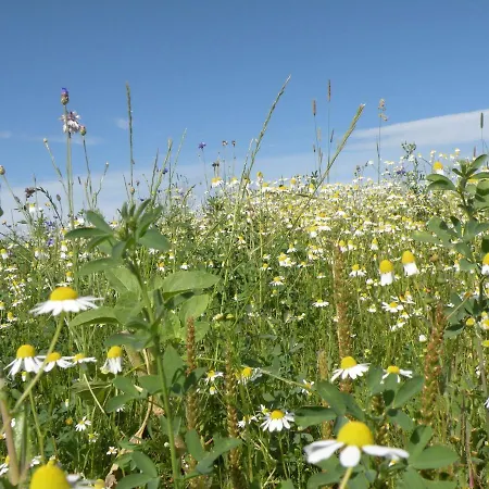 Comfortable Holiday In Marche-en-famenne With Terrace Casa vacanze Marloie